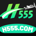 H555 Game